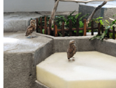 アウテリア